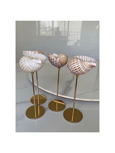 Exquisite Handmade Natural Snail Shell <b>Goblet</b> Wine Cup Decorative Seashell <b>Glass</b> For Bar Wedding Party Coastal Resort Party Use - Product Image 5