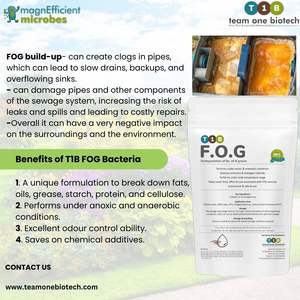 Traitement naturel de piège à graisse pour une décomposition efficace des graisses dans les cuisines et les eaux usées - Product Image 5