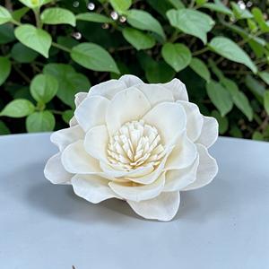 ดอกไม้ไม้โซล่า VADEE SOLA WOOD FLOWER ทำมือ งานฝีมือแบบยั่งยืน คลาสสิก ดอกคาเมลเลียอัลบา ขนาด 8.5 ซม. ก้านทำจากเส้นใยพืชเซสบานีอา - Product Image 6