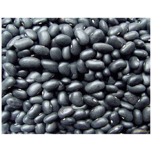 Frijoles Negros, Compre Frijoles Negros de Alta Calidad Tipo Británico Oscuro 2026 en Venta - Product Image 5