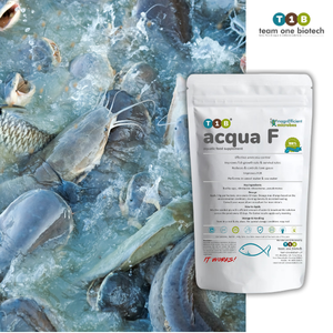 Probióticos para Peceras y Sistemas de Recirculación, Suplemento Bacteriano de Alta Calidad - Product Image 2