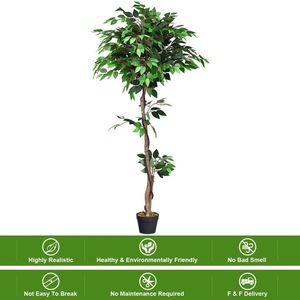 Albero di Ficus Artificiale in Seta di 1,67 Metri con Tronchi in Legno Decorativi per Casa o Ufficio - Product Image 2