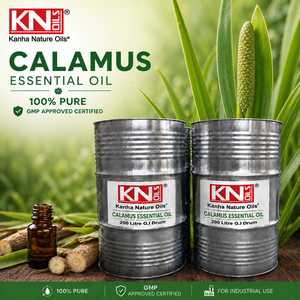 Excellent Quality 100% Pure Calamus Essential Oil Bulk Manufacturer Acorus calamus Organic Certified Global Exporter - Product Image 3