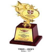 Trophée étoile en cristal gravé sur mesure de haute qualité et durable avec base en bois pour la reconnaissance d'entreprise, disponible directement de l'usine