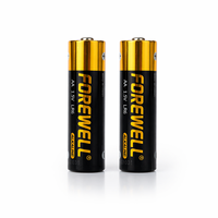 Pile alcaline AA LR6 Premium 1,5 V longue durée, étanche, alimentation stable, fabricant OEM, vente en gros, marque personnalisée, approvisionnement en vrac
