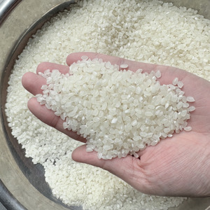 Arroz Japonica de Grano Corto de Alta Calidad de Vietnam, Suave y Pegajoso, Disponible para Pedidos al por Mayor, Importación y Exportación, Cosecha Más Reciente 2025 - Product Image 3