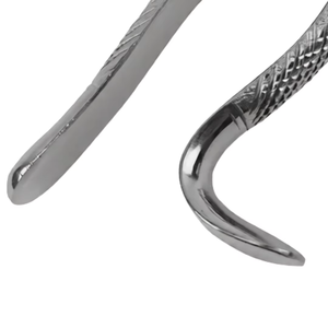 Pinzas de Extracción Dental de Acero Inoxidable con Patrón Americano, Tipo Cuerno de Vaca, 16S, para Molares Inferiores, con Agarre Ergonómico, Herramienta Quirúrgica - Product Image 5