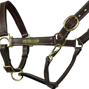 Leather Horse <b>Halter</b> with Brass Hardware Adjustable Fit Equestrian Head Collar - Product Image 1