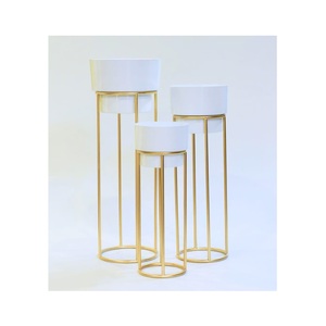 Support de plante moderne en métal blanc doré sur pied avec pot, jardinière décorative intérieure/extérieure pour salon, chambre, bureau - Product Image 1