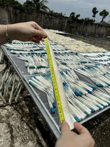 Bandes de vessie de poisson séchées de qualité supérieure, fournisseur vietnamien, meilleur prix, fruits de mer riches en protéines |   Bar/basa - Product Image 4