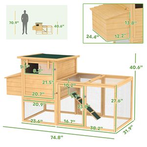 Pollaio in Legno Naturale da 75 cm con Nido, Vassoio Rimovibile e Rampa per Giardino/Cortile, Capacità Personalizzabile per Fattorie - Product Image 3