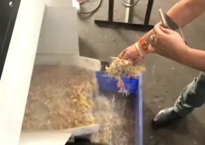 Broyeur de sacs de ciment à double arbre semi-automatique haute capacité très demandé - Product Image 4