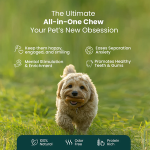 Friandises à mâcher pour chiens au fromage de yak de qualité supérieure, style himalayen, longue durée, naturelles, riches en protéines, sans gluten, fabriquées en Inde, approvisionnement en vrac OEM - Product Image 6