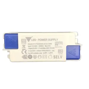 Wholesale 20W 40W Led Driver Wide Voltage AC 110V-240V Isolated Led Power Supply for Panel Light Led Driver