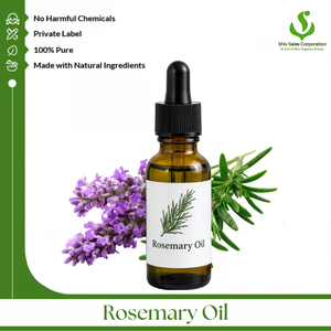 Pure Rosemary Oil Manufacturer and Bulk Export Supplier Offering Premium Essential Oil for Global Cosmetic Hair Care Personal - Product Image 1