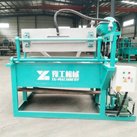 Machine entièrement automatique de fabrication de barquettes à œufs en papier recyclé pour élevages avicoles, moule 30 alvéoles