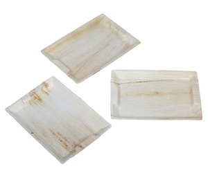 Nouveaux plateaux de service alimentaire compostables en feuilles de palmier 14 x 10 pouces, vaisselle jetable écologique pour événements et traiteurs - Product Image 1