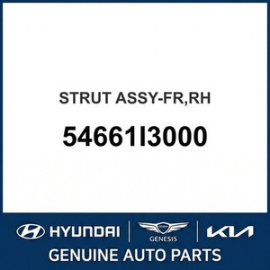 Nouveaux amortisseurs et vérins Kona, Droit 54661I3000 - Product Image 1