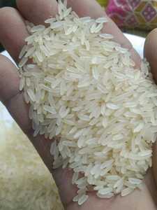 Good for Health IR 64 White Rice 5% Broken Long <b>Grain</b> Non-Basmati Indian Origin Dried Soft Texture Wholesale Export at Low Price - Product Image 5