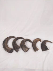 แก้วมักไวกิ้งทำด้วยมือแก้วมักลายสัตว์ธรรมชาติเป็นมิตรต่อสิ่งแวดล้อมสำหรับของขวัญธุรกิจหรูหราขายส่งอุปกรณ์สำหรับกัดสุนัข - Product Image 2