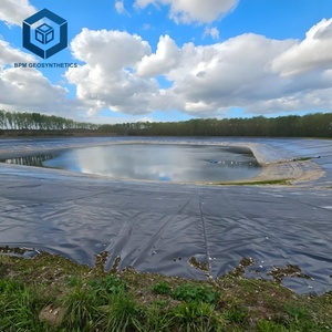 Revestimiento Impermeable Efectivo para Piscinas, Geomembrana de Polietileno de Alta Densidad, Revestimiento de HDPE de 40 Mil, 1 mm de Espesor, en Venta - Product Image 3