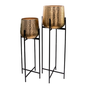 2 Piece Brass <b>Plant</b> <b>Stand</b> Set with Hammered Gold <b>Pots</b> on <b>Black</b> Metal Floor <b>Stands</b> for Indoor Design & Material Antique Brass - Product Image 1