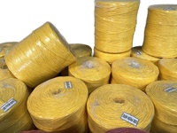 Corde en polypropylène (PP) noir et jaune de 2,5 mm pour l'agriculture, corde en raphia, ficelle pour presse à balles de foin, corde torsadée pour emballage de pailles de banane, anti-UV