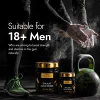Resin Shilajit Himalaya Emas Suplemen Alami untuk Energi Harian, Vitalitas, Pertumbuhan Otot, dan Dukungan Kekebalan Tubuh - Pemasok Grosir untuk Global