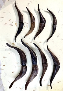 Paires de cornes de chèvre naturelles, finition rustique, écologiques, neuves, de haute qualité pour la décoration et l'artisanat - Product Image 1