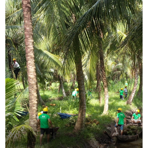 350ml <b>Bottle</b> Nata De Coco Drink with Coconut <b>Water</b> Manufacturers <b>Bottle</b> White Label - Product Image 3