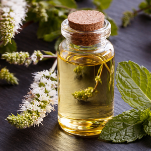 PREMIUM QUALITY PEPPERMINT OIL / ORGANIC NATURAL ESSENTIAL OIL FOR SPA AND PERSONAL CARE PRODUCTS/ MS. ALINA - Product Image 3