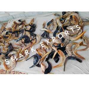 Shofar en corne de bœuf naturelle, fait main, instrument de cérémonie juive pour la prière religieuse de Rosh Hashanah et de Yom Kippur, vente en gros - Product Image 6
