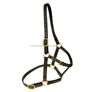 Premium elegante inglés sillín caballo Halter personalizado Premium ecuestre cuero accesorio - Product Image 3