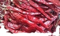 Chile Rojo Teja Premium con Esterilización a Vapor, Calidad de Exportación - Product Image 2
