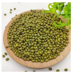 La mejor opción y los mejores descuentos: Exportador de frijoles mung verdes de primera calidad, limpios y listos para cocinar. - Product Image 2