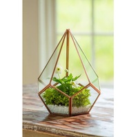 Terrarium en verre cristallin inspiré des cabanes, avec détails en fer doré, vase de table pour plantes aériennes et succulentes, design artistique