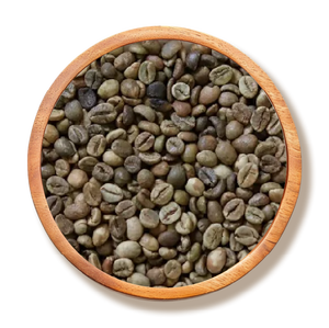 Vietnam <b>Robusta</b> Grade 1 Cleaned Green <b>Coffee</b> <b>Beans</b>, Screen 16 - 60kg PP Bag HALAL, HACCP & ISO 22000:2018 Certified - Product Image 1