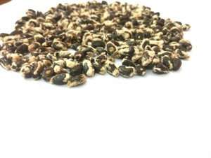Graines de coton entières de qualité supérieure pour l'alimentation du bétail, fournisseur en gros - Product Image 4