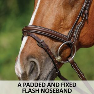 Italian Leather Horse Bridle <b>Equestrian</b> Horse Riding Genuine Leather Horse Bridle - Product Image 5