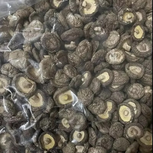 BEST SELLER Vietnam Direct Manufacturer Whole Dried Black Shiitake Mushroom No Additives 10kg Net Weight Packing Available - Product Image 1