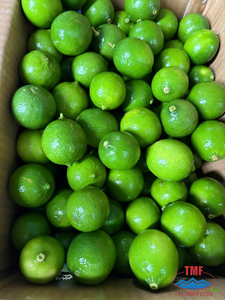 Discover Vietnamese Citrus Treasure Seedless <b>Lime</b> From Techmifood Vietnam 45 Days Shelf Life - Product Image 2