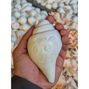 Shankh de Flores Hecho a Mano Tradicional |   Concha de Caracola para la Pooja en Templos y Uso Espiritual, Sigma Exports, para Todas las Estaciones - Product Image 1