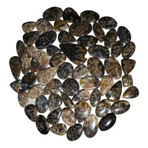 Cabujón de Ágata Natural al por Mayor, Piedra Preciosa Suelta en Forma Mixta, Pulida, 20-45 mm, 8-12 g - Product Image 6