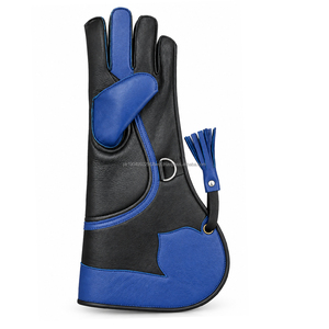 Professional High Quality Low MOQ Waterproof Falconry <b>Gloves</b> Plain <b>Touchscreen</b> Breathable Windproof Eco-Friendly Four Sports - Product Image 1
