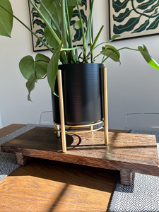 Maceta de Metal Negra con Soporte Dorado, Estilo Moderno de Mediados de Siglo, Elegante Exhibidor de Plantas para Interiores, para Sala de Estar - Product Image 4