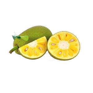 Pulpe de Jackfruit Fraîche Jaune Sans Graines Demi-Quartiers Naturels en Vrac pour la Transformation Alimentaire - Product Image 6