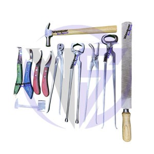 Professional 11-Piece Stainless Steel Farrier Tools Kit High Quality Horse Hoof <b>Care</b> Wenquar Surgical Instruments - Product Image 3