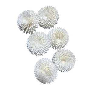 VADEE SOLA WOOD <b>FLOWER</b> White Snow Ranunculus Reed <b>Diffuser</b> <b>Flower</b> Bundle Replacement Handmade Sustainable Dried - Product Image 3