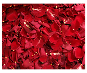 Proveedor de Pétalos de Rosa Roja Secos Naturales - Ingrediente Floral para Pedidos al por Mayor para la Industria Cosmética de 99 Gold Data - Product Image 5