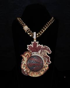Collar con Colgante Temático de los Toronto Raptors, Cadena de Aleación Chapada en Oro, Estilo Hiphop para Hombre, con Cristales de Imitación - Product Image 1